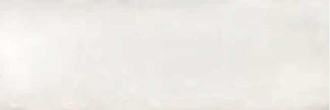 Zidna plocica BIRD - BLANCO 30x90 [sjaj]